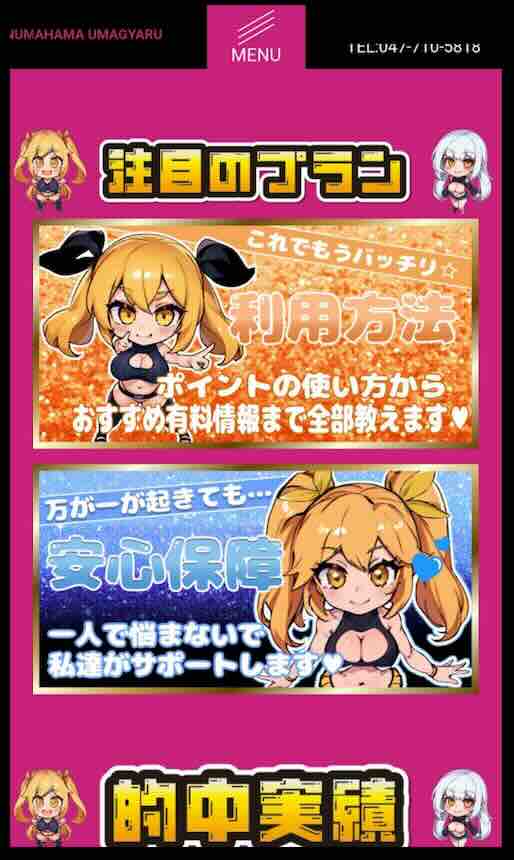 ウマぎゃるという競馬予想サイトの会員ページ